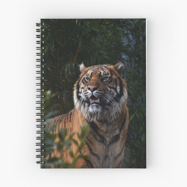 Item preview, Sumatran Tiger in the Bushes designed and sold by megjayne-photos.
