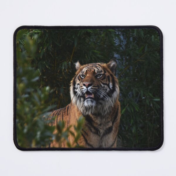 Item preview, Sumatran Tiger in the Bushes designed and sold by megjayne-photos.