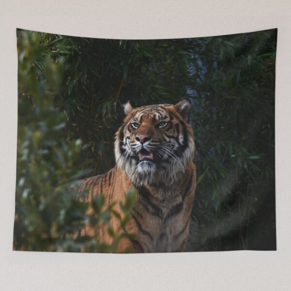 Item preview, Sumatran Tiger in the Bushes designed and sold by megjayne-photos.