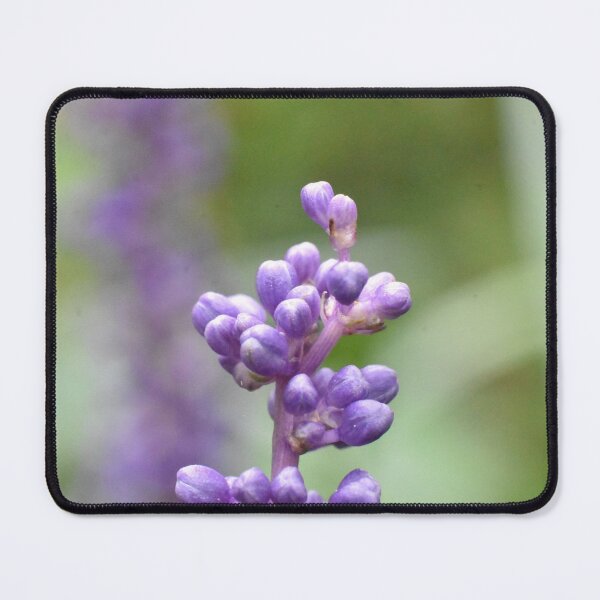 Item preview, Lily Turf designed and sold by megjayne-photos.