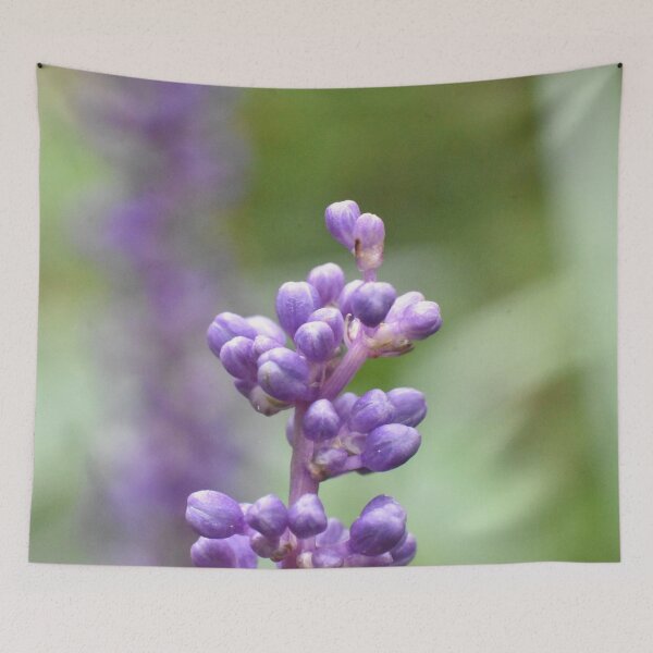 Item preview, Lily Turf designed and sold by megjayne-photos.