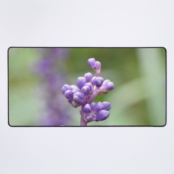 Item preview, Lily Turf designed and sold by megjayne-photos.