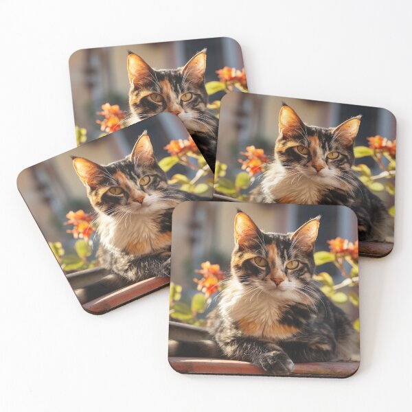 Item preview, Dark-eyed Cat's Comfort Palette designed and sold by PixelPrisma.