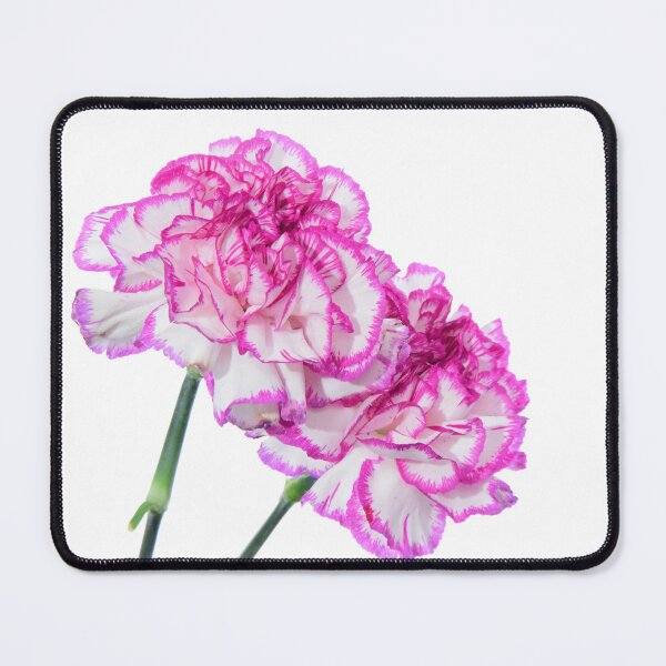 Item preview, Pinks on White designed and sold by JonDelorme.