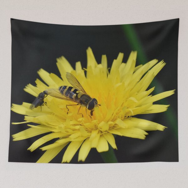 Item preview, Dandelion  designed and sold by megjayne-photos.