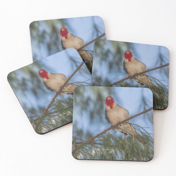 Item preview, Red Crested Cardinal designed and sold by KensLensDesigns.