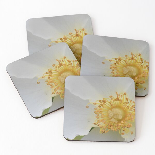 Item preview, White Flower designed and sold by megjayne-photos.