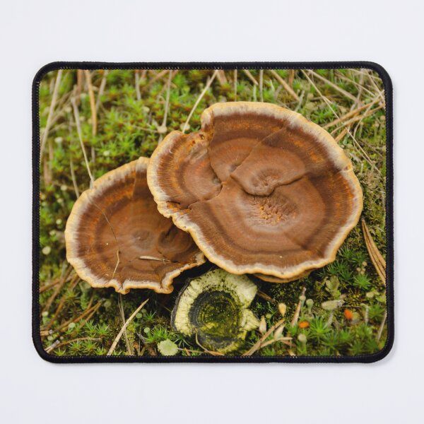 Item preview, Little Shrooms in The Grass designed and sold by LittleShooms.