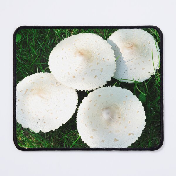 Item preview, White Little Mushies in The Grass designed and sold by LittleShooms.