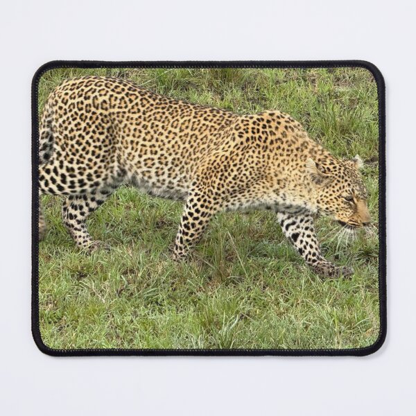 Item preview, Stealthy Leopard designed and sold by annenambiro.