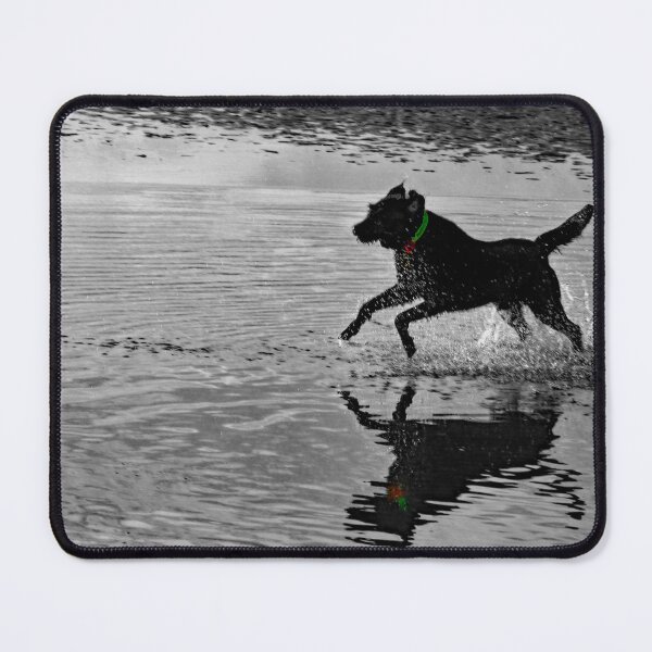 Item preview, 'Jack' designed and sold by Beverley Barrett.