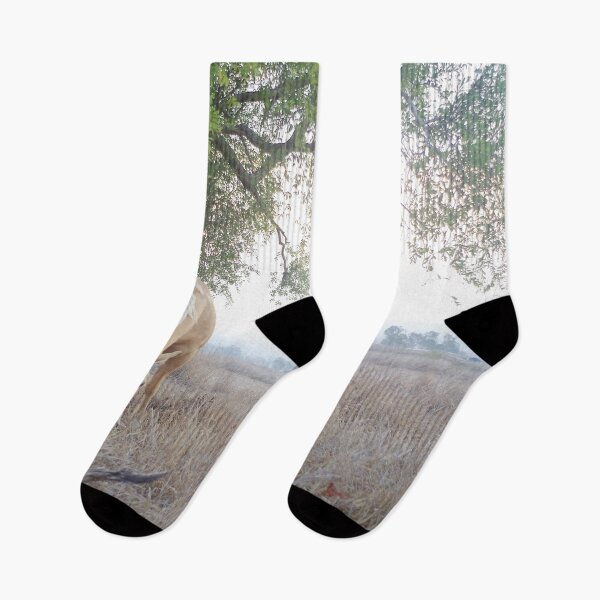 Item preview, Hazy Palomino designed and sold by Penny Kittel.