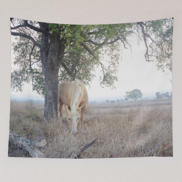 Item preview, Hazy Palomino designed and sold by Penny Kittel.