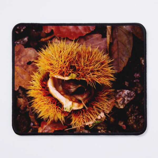 Item preview, Autumn Harvest designed and sold by artofnella.