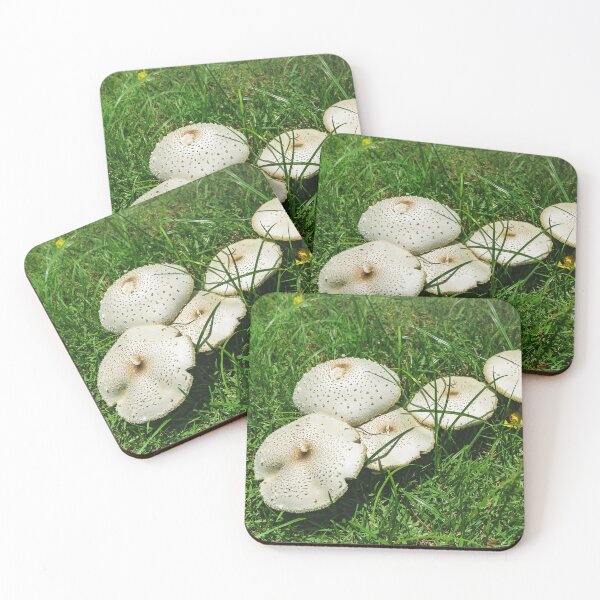 Item preview, Small Fungi in The Grass designed and sold by LittleShooms.
