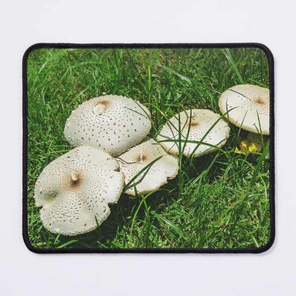 Item preview, Small Fungi in The Grass designed and sold by LittleShooms.