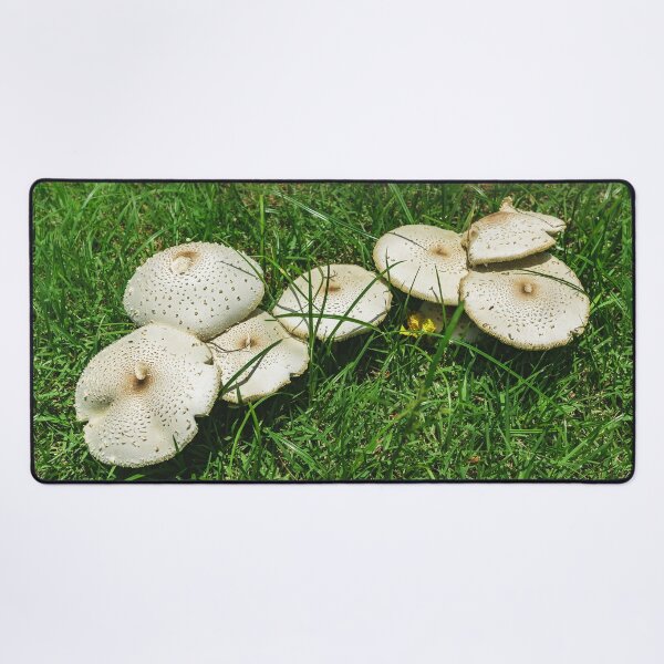 Item preview, Small Fungi in The Grass designed and sold by LittleShooms.