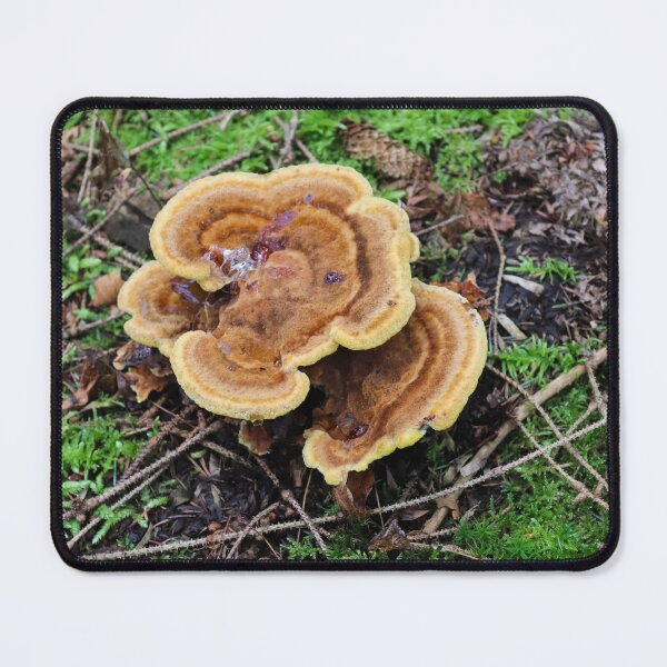 Item preview, Small Mushrooms in The Grass designed and sold by LittleShooms.