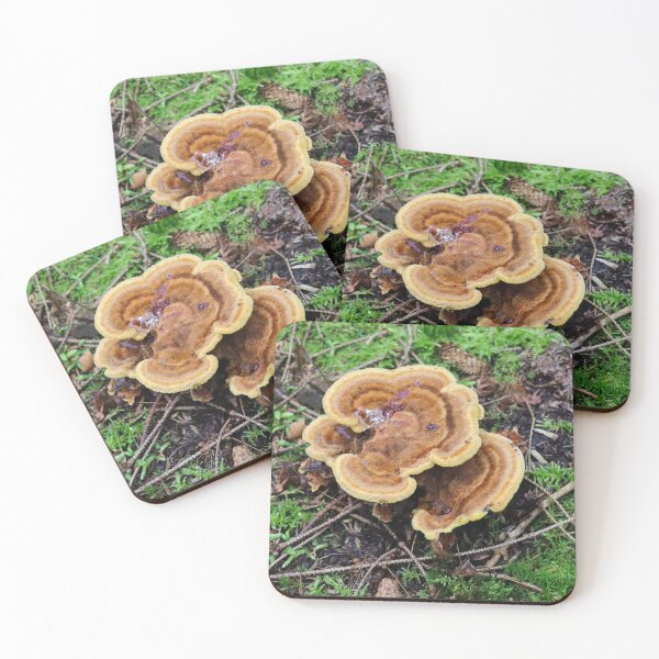 Item preview, Small Mushrooms in The Grass designed and sold by LittleShooms.