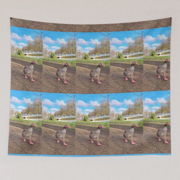 Item preview, Duck walks designed and sold by Sebaseseu.