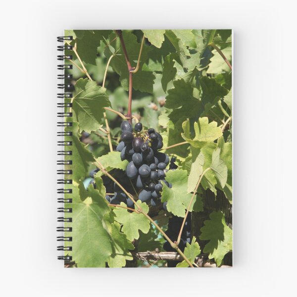 Item preview, ripe black grapes designed and sold by mrivserg.