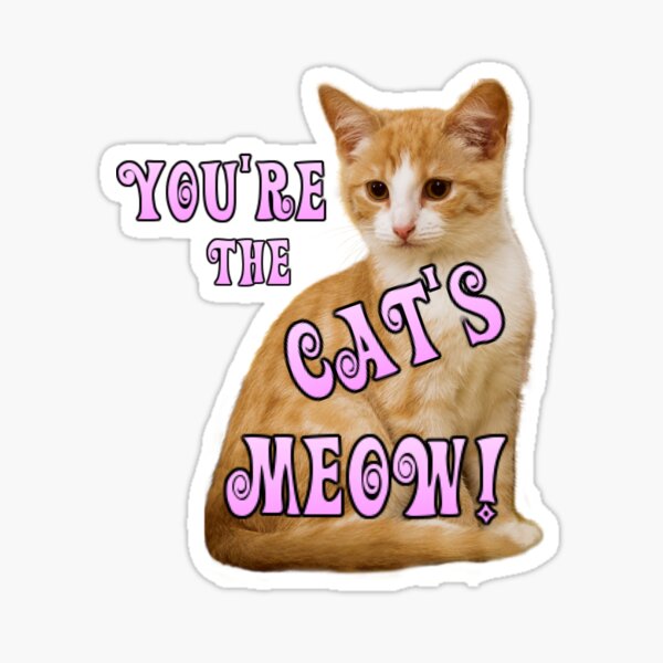 Singin' In The Rain - You're the Cat's Meow Sticker