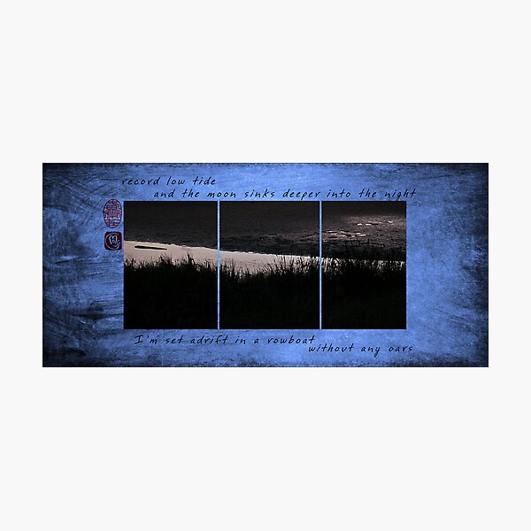 Record Low Tide Photographic Print