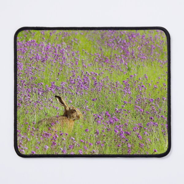 Item preview, Flora Hare designed and sold by Penny Kittel.