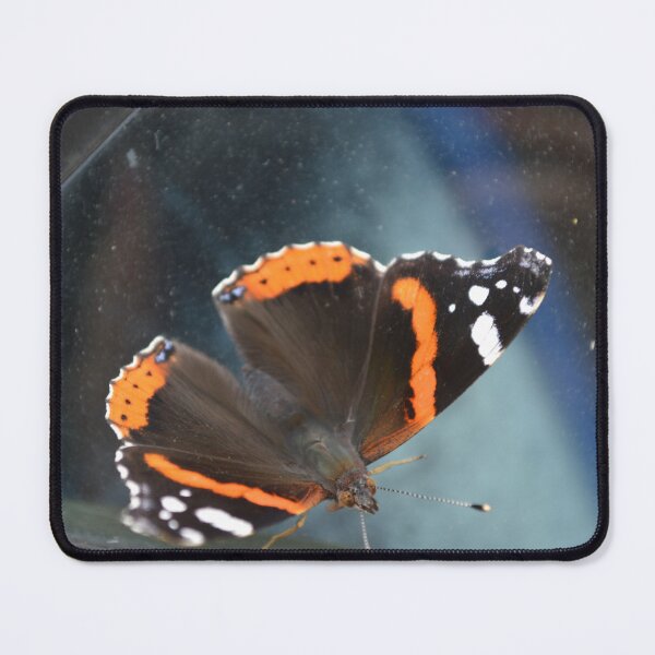 Item preview, Drugelio širdis designed and sold by GraphicPastel.