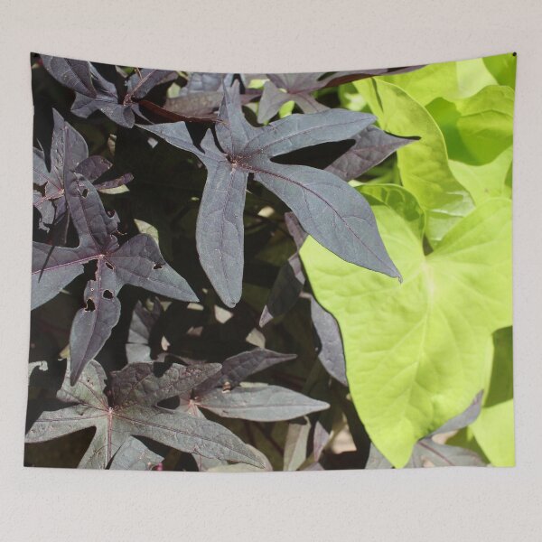 Item preview, Green and Purple Leaves designed and sold by Logan McCarthy.