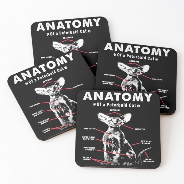 Item preview, Feline Elegance Unveiled, The Anatomy of a Peterbald Cat designed and sold by momoworlddesign.