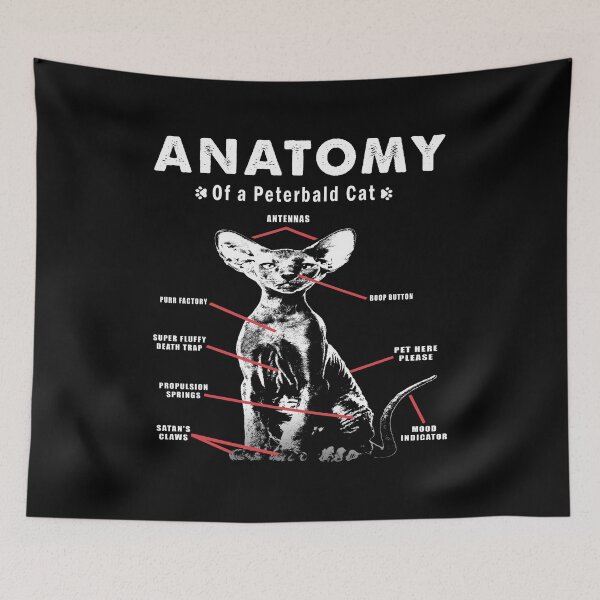 Item preview, Feline Elegance Unveiled, The Anatomy of a Peterbald Cat designed and sold by momoworlddesign.