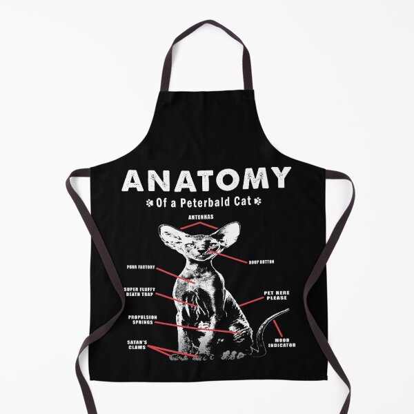 Item preview, Feline Elegance Unveiled, The Anatomy of a Peterbald Cat designed and sold by momoworlddesign.