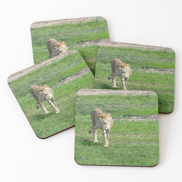 Item preview, Agile Cheetah designed and sold by annenambiro.