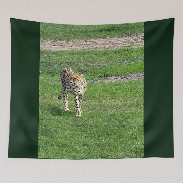 Item preview, Agile Cheetah designed and sold by annenambiro.