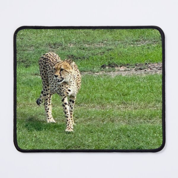 Item preview, Agile Cheetah designed and sold by annenambiro.