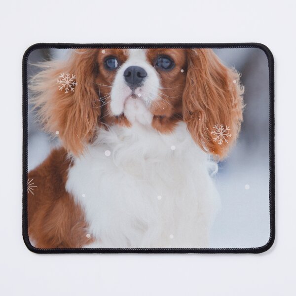Item preview, Cute Christmas Cavalier King Charles Spaniel designed and sold by Sarah Wainwright.