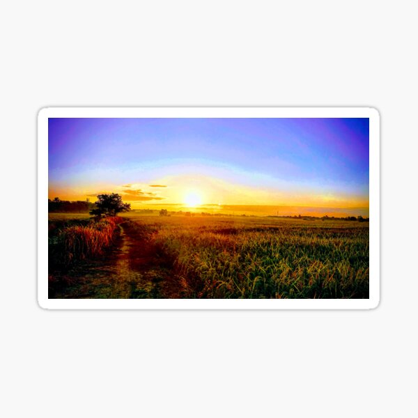 Item preview, Sunrise Splendor: Green Rice Field Serenity designed and sold by EnjoYarty.