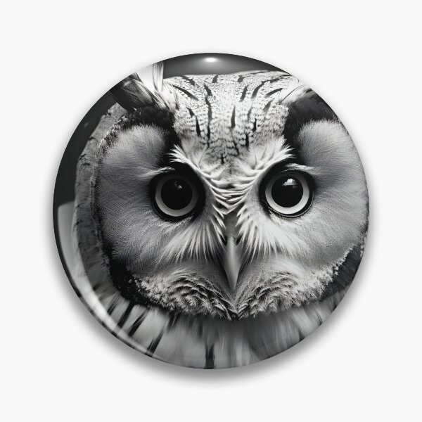 Item preview, Stunning black and white cinematic photo of an owl designed and sold by dcrc.