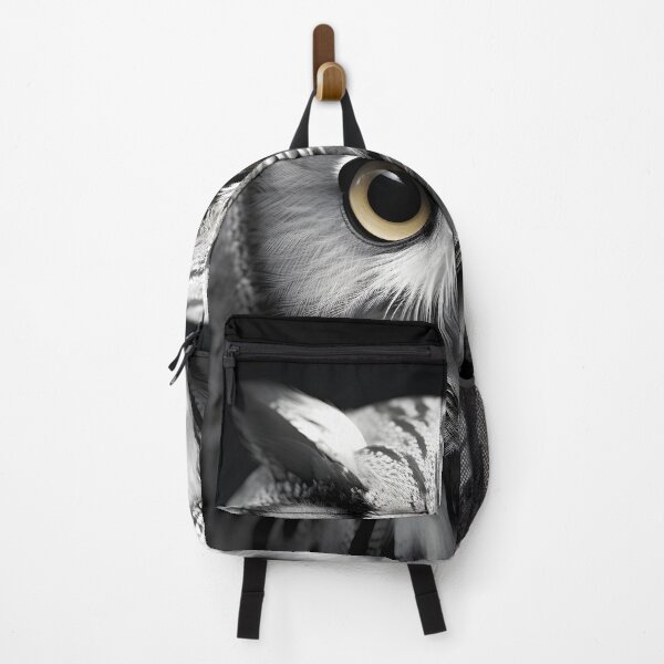 Item preview, stunning black and white cinematic photo of an owl designed and sold by dcrc.