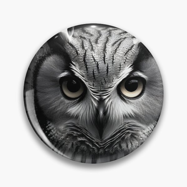 Item preview, stunning black and white cinematic photo of an owl designed and sold by dcrc.