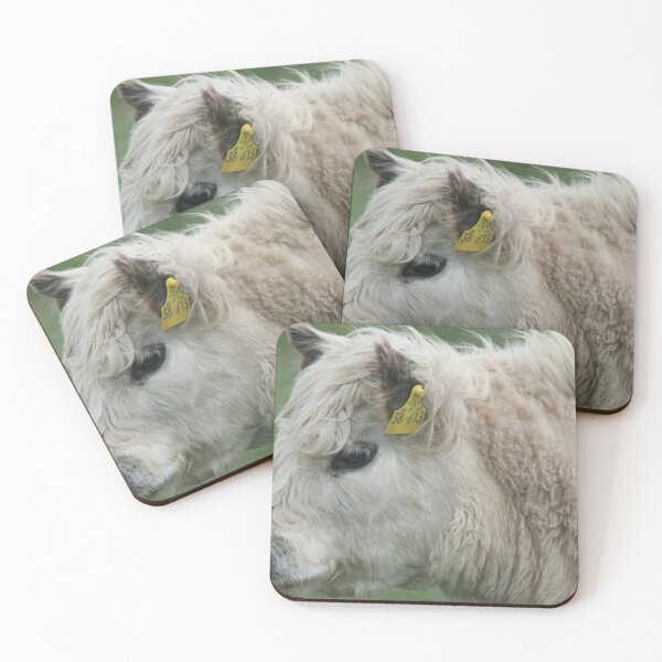 Item preview, White Galloway calf designed and sold by Calidris Fotografie Steffi & Ben Köppler.