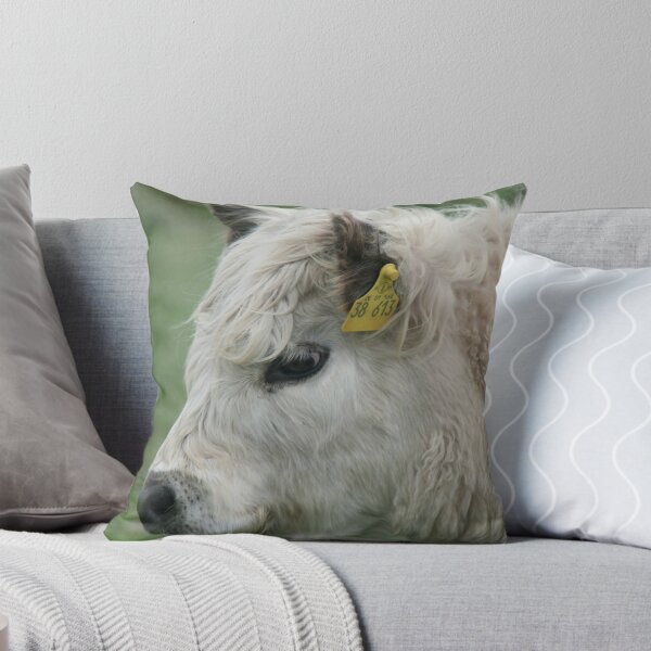 Item preview, Ternero Galloway blanco designed and sold by Calidris Fotografie Steffi & Ben Köppler.