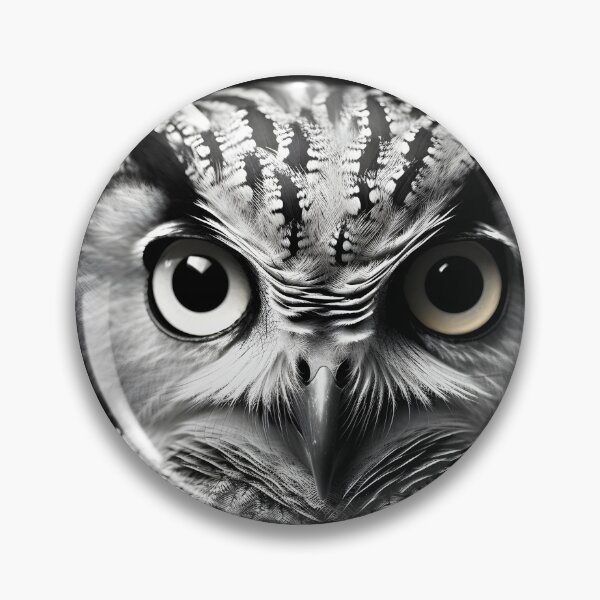 Item preview, stunning black and white cinematic photo of an owl designed and sold by dcrc.