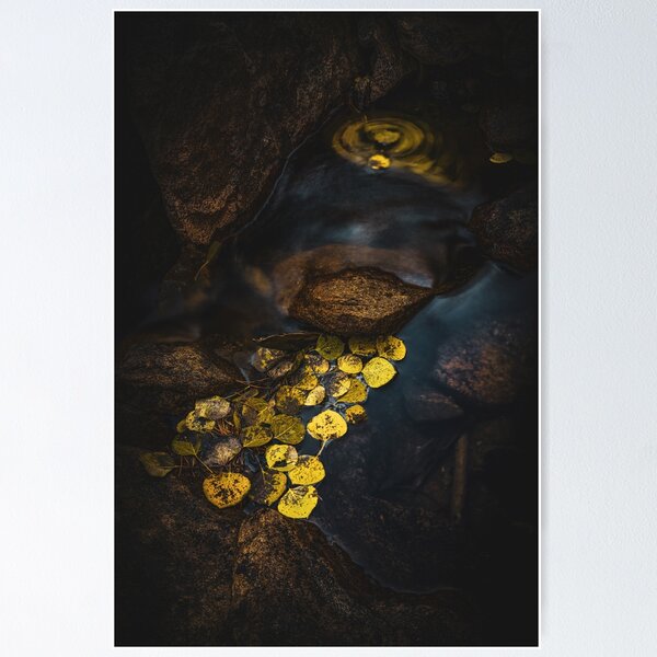 Item preview, River Of Gold designed and sold by Elevated Imaging .