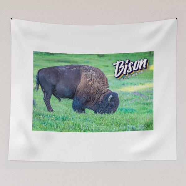 Item preview, Bison at Yellowstone designed and sold by GestaltImagery.