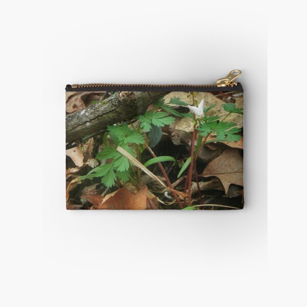 Item preview, Diminuitive designed and sold by Claude Johnson.