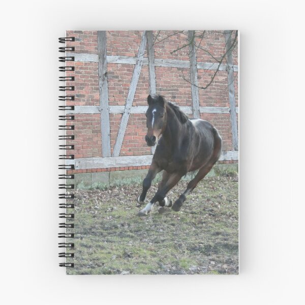 Item preview, Horse designed and sold by Calidris Fotografie Steffi & Ben Köppler.