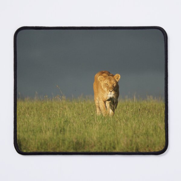 Item preview, Powerful Lioness designed and sold by annenambiro.