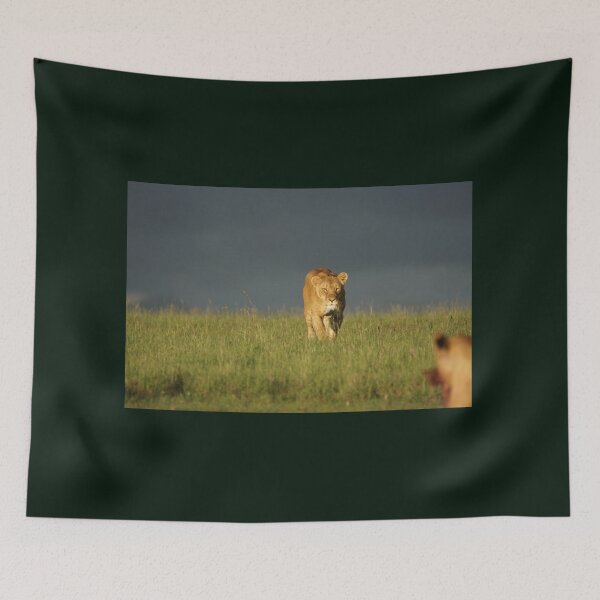 Item preview, Powerful Lioness designed and sold by annenambiro.